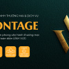 VONTAGE - Đơn vị sáng tạo mùi hương tiên phong vận hành thương mại toàn diện