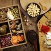 Phát triển dược liệu xanh - Hướng đi vững chắc cho y học và kinh tế Việt Nam