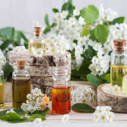 10 loại tinh dầu hàng đầu giúp tóc khỏe mạnh và bóng mượt