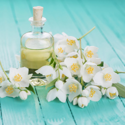Lợi ích sức khỏe của tinh dầu hoa nhài