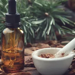 Công dụng tuyệt vời của tinh dầu thông đỏ với sức khoẻ