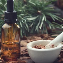 Công dụng tuyệt vời của tinh dầu thông đỏ với sức khoẻ