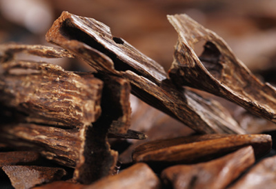 6 cách dùng trầm hương hỗ trợ an thần và xua tà khí