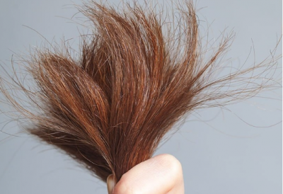 Chặn đứng tình trạng tóc chẻ ngọn bằng những mẹo cực đơn giản này