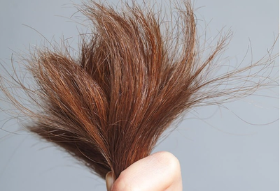 Chặn đứng tình trạng tóc chẻ ngọn bằng những mẹo cực đơn giản này