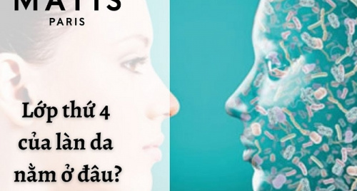 Lớp thứ 4 của làn da nằm ở đâu?
