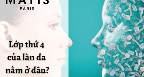 Lớp thứ 4 của làn da nằm ở đâu?
