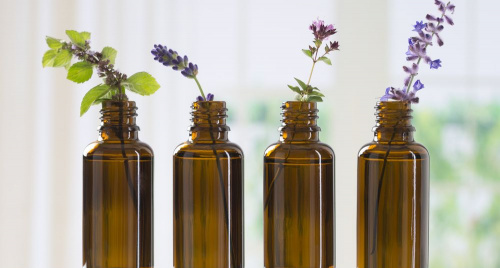 Bốn loại tinh dầu thường dùng trong điều trị mất ngủ