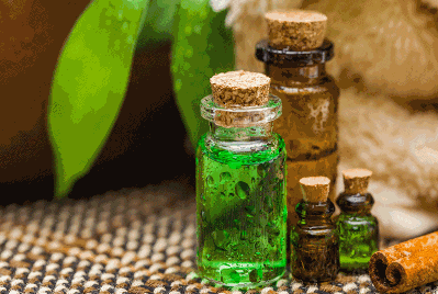 4 mẹo làm đẹp từ tinh dầu trà xanh
