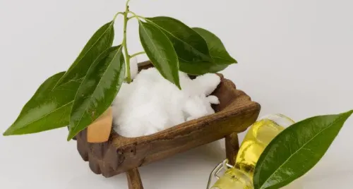 Công dụng và độ an toàn của tinh dầu long não trên trẻ nhỏ