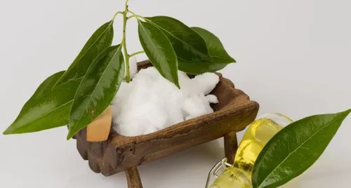 Công dụng và độ an toàn của tinh dầu long não trên trẻ nhỏ