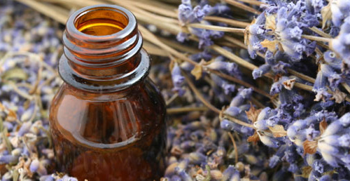 8 tinh dầu tuyệt vời cho vẻ đẹp của bạn