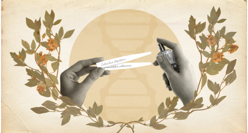 Hồi sinh hương thơm từ những loài hoa đã tuyệt chủng