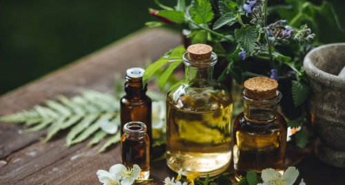 Tinh dầu thảo mộc - “hơi thở” thiên nhiên trong tinh dầu Nguyên Hồng