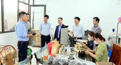 HTX Dược liệu Đông Sơn – Nâng tầm giá trị tinh dầu tràm bản địa Ninh Bình