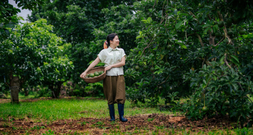 Mỹ phẩm từ bơ và hành trình hình thành hướng đi bản địa trong ngành làm đẹp Việt Nam