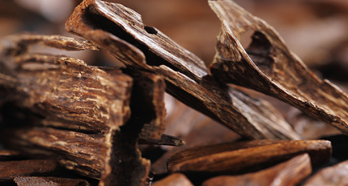 6 cách dùng trầm hương hỗ trợ an thần và xua tà khí