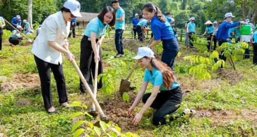 Sống xanh – từ lối sống cá nhân đến trách nhiệm cộng đồng