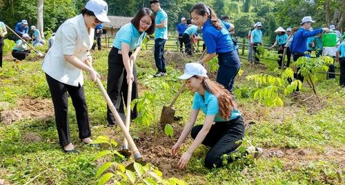 Sống xanh – từ lối sống cá nhân đến trách nhiệm cộng đồng