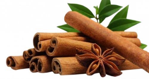 Tinh dầu quế - Hương ấm từ thiên nhiên cho sức khỏe, vóc dáng và vẻ đẹp bền vững