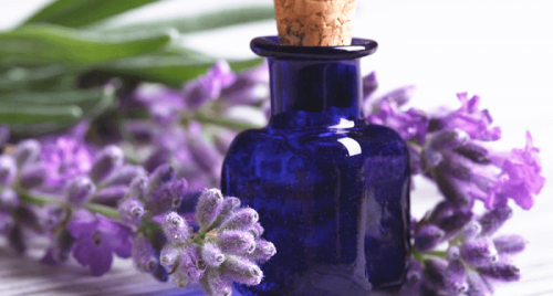 6 cách đơn giản giúp giảm lo âu, căng thẳng