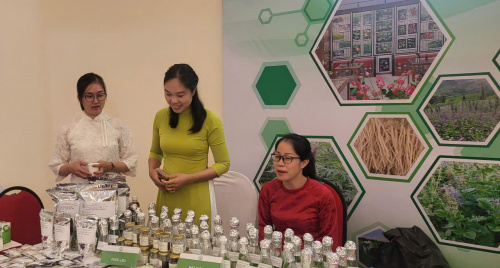 VIỆN DƯỢC LIỆU: 65 NĂM HÀNH TRÌNH KHƠI NGUỒN DƯỢC TÍNH, VIẾT TIẾP TRANG SỬ "NAM DƯỢC TRỊ NAM NHÂN"