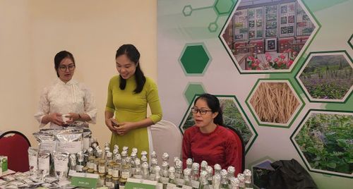 VIỆN DƯỢC LIỆU: 65 NĂM HÀNH TRÌNH KHƠI NGUỒN DƯỢC TÍNH, VIẾT TIẾP TRANG SỬ "NAM DƯỢC TRỊ NAM NHÂN"