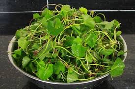 5 cách làm đẹp da từ rau má cực dễ