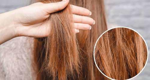 Tạm biệt tóc khô xơ với mặt nạ từ loại rau rẻ tiền, dễ kiếm