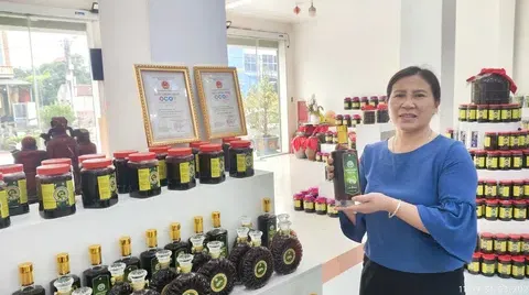 Từ giường bệnh đến vườn dược liệu: Hành trình khởi nghiệp của người phụ nữ Bắc Ninh