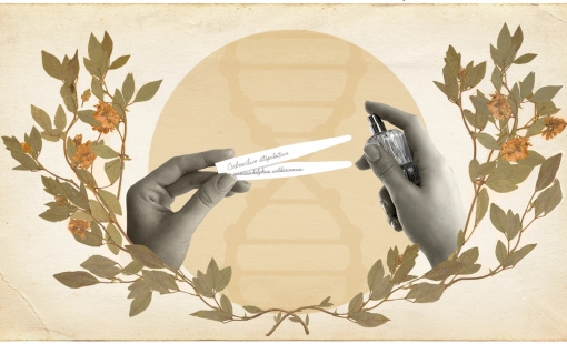 Hồi sinh hương thơm từ những loài hoa đã tuyệt chủng