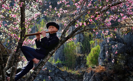 HƯƠNG TẾT VIỆT: NHỮNG MÙI HƯƠNG GỢI KÝ ỨC SUM VẦY