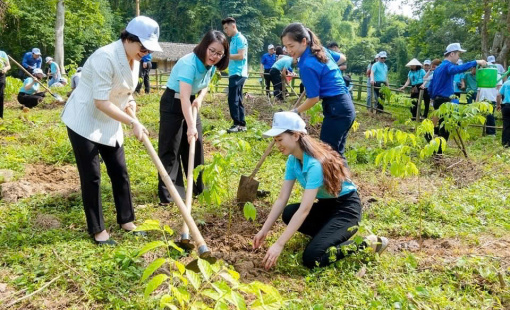 Sống xanh – từ lối sống cá nhân đến trách nhiệm cộng đồng