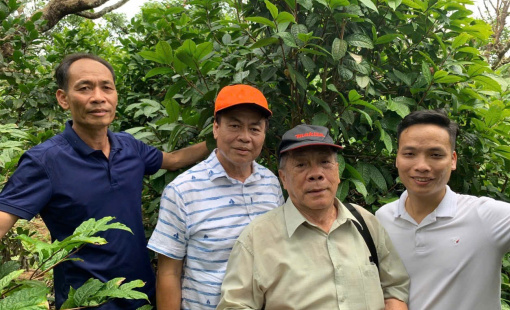 Bảo tồn và Phát triển Tài nguyên Cây thuốc Việt Nam: Lộ trình từ “quy hoạch treo” đến “ngành kinh tế thảo dược” tỷ đô