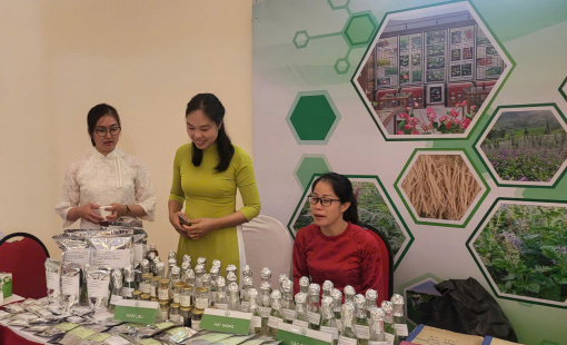 VIỆN DƯỢC LIỆU: 65 NĂM HÀNH TRÌNH KHƠI NGUỒN DƯỢC TÍNH, VIẾT TIẾP TRANG SỬ "NAM DƯỢC TRỊ NAM NHÂN"