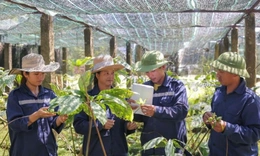 Định hình con đường dược liệu Việt: Tư duy chiến lược của Anh hùng Lao động Thái Hương