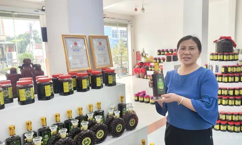 Từ giường bệnh đến vườn dược liệu: Hành trình khởi nghiệp của người phụ nữ Bắc Ninh