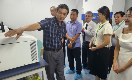 Chuẩn Hóa Tinh Dầu Việt: Từ "Luật Chơi" Chung Đến "Giấy Thông Hành" Ra Thế Giới