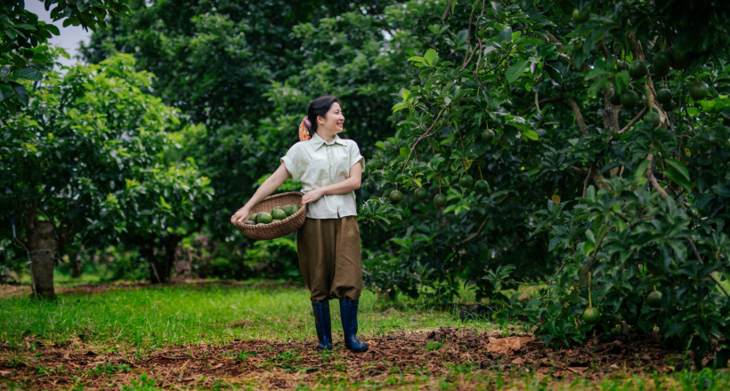 Mỹ phẩm từ bơ và hành trình hình thành hướng đi bản địa trong ngành làm đẹp Việt Nam