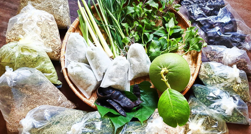 Liệu pháp thảo dược giúp nuôi dưỡng tóc và da đầu mùa đông