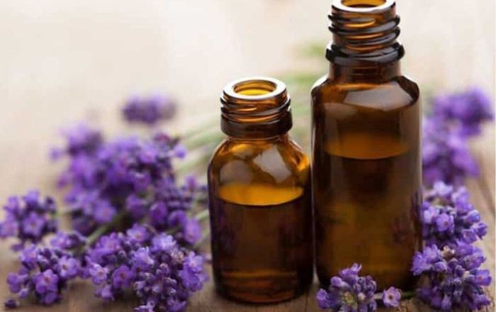 Bí quyết dưỡng da rạng rỡ với 4 loại tinh dầu thiên nhiên mát lành