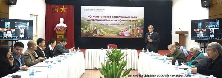 Lập lại trật tự thị trường mỹ phẩm để doanh nghiệp tử tế có chỗ đứng bền lâu