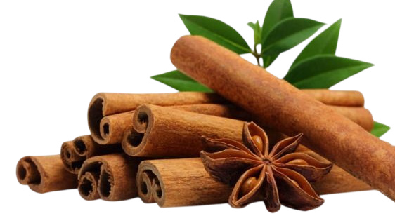 Tinh dầu quế - Hương ấm từ thiên nhiên cho sức khỏe, vóc dáng và vẻ đẹp bền vững