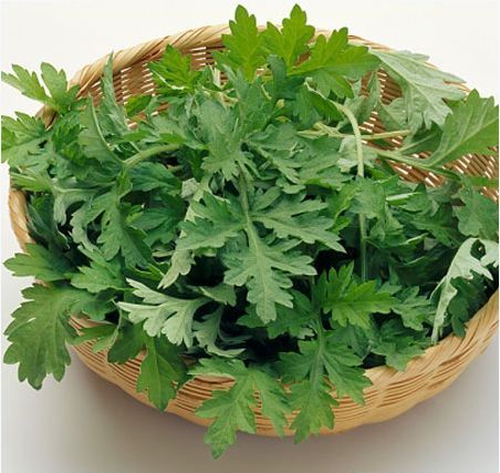 3 cách sử dụng ngải cứu làm sáng da hiệu quả tại nhà