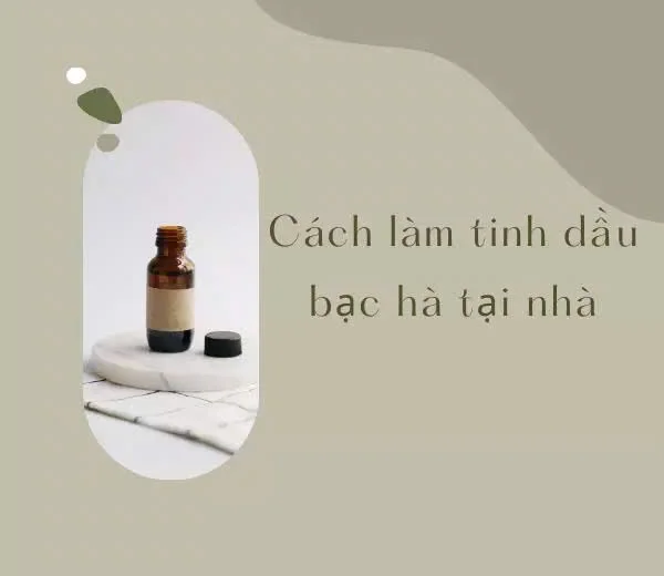 Cách làm tinh dầu bạc hà tại nhà