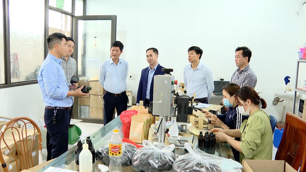 Anh Nguyễn Văn Dư (đứng ngoài cùng bên trái) Giám đốc Hợp tác xã Dược liệu Đông Sơn đang giới thiệu về sản phẩm tinh dầu tràm