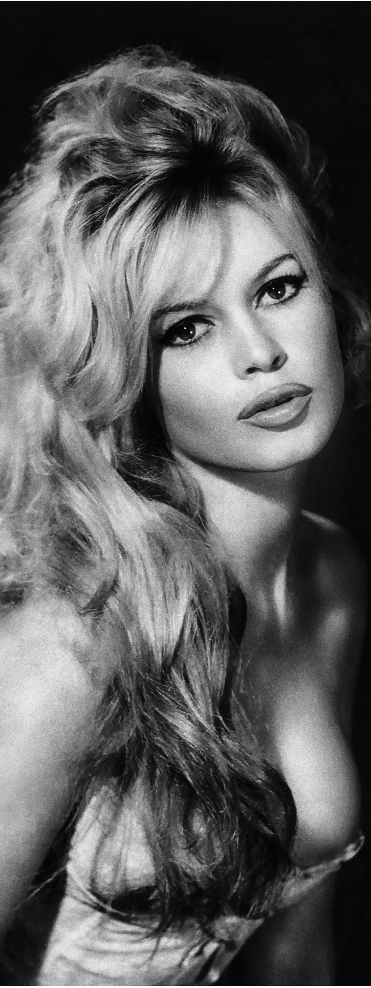 Brigitte Bardot