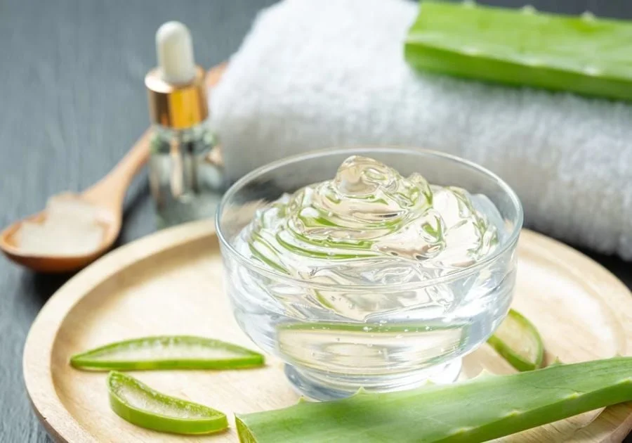 Gel lô hội (nha đam) được sử dụng phổ biến trong chăm sóc da.