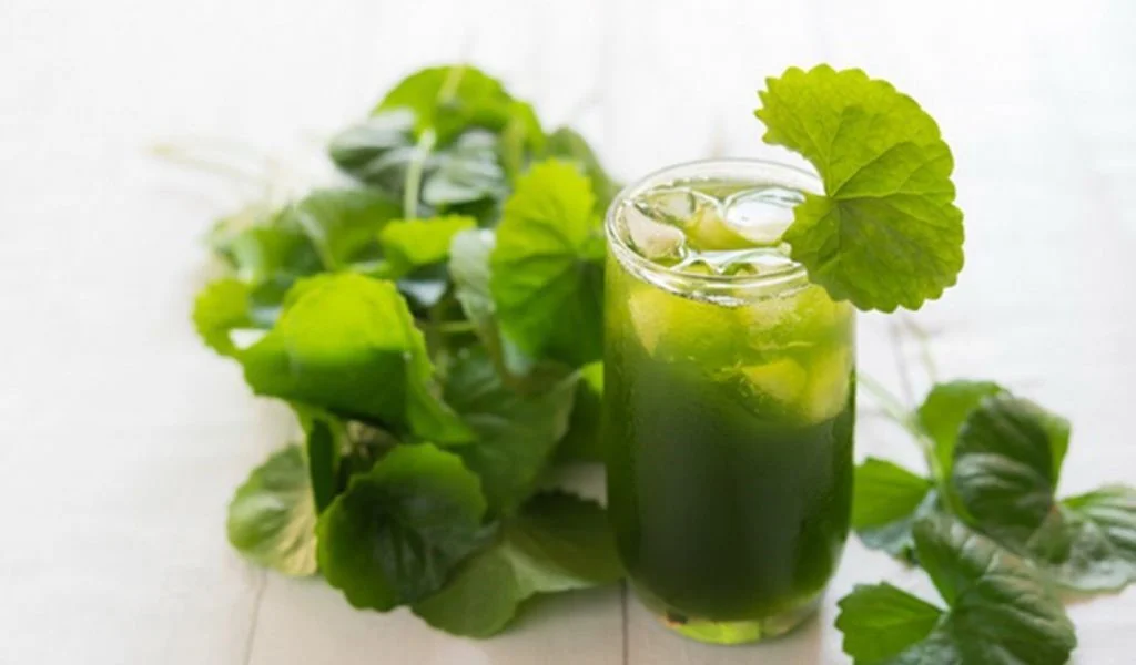 Rau má không chỉ giúp thanh nhiệt, giải độc mà còn có tác dụng nhiều trong làm đẹp da.