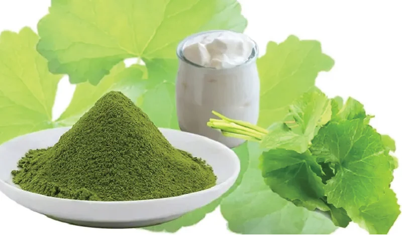 Sử dụng rau má làm mặt nạ giúp làm dịu da và hỗ trợ điều trị mụn trứng cá.